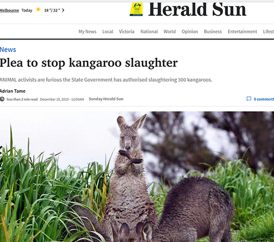 Eden Park Plea to stop kangaroo mob slaughter - Northern Melbourne Institute of TAFE NMIT