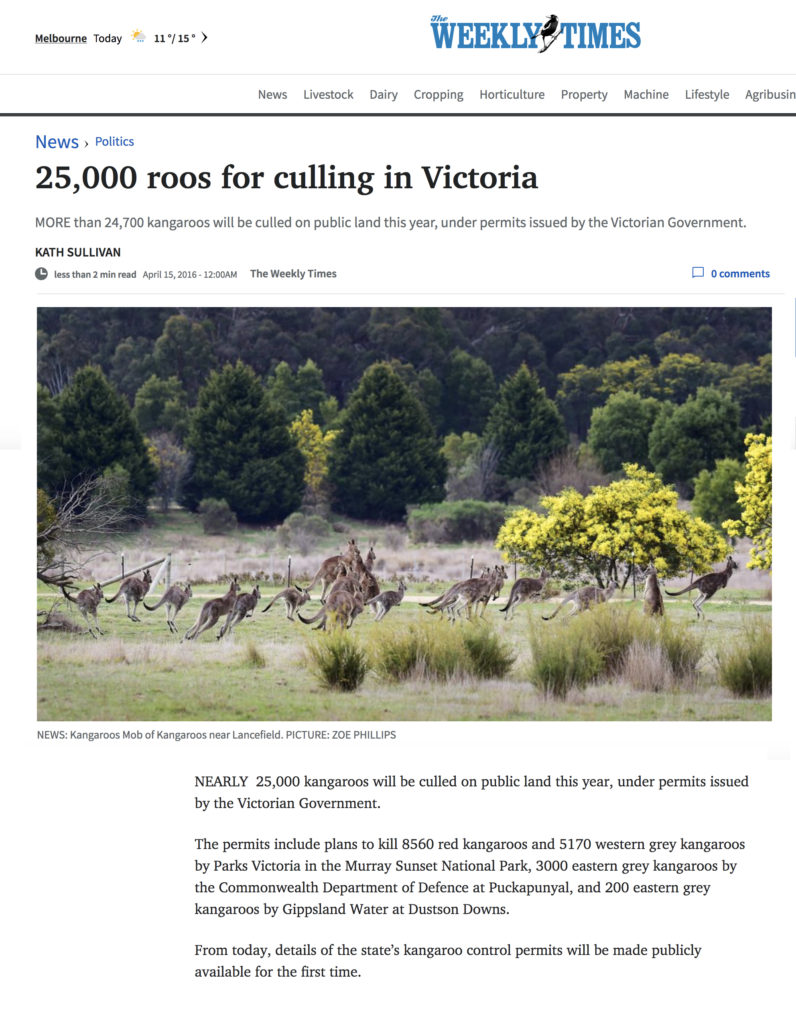 Vic Govt set to slaughter all kangaroos from public land going by their permits to kill Red, Western Grey and Eastern Grey kangaroos