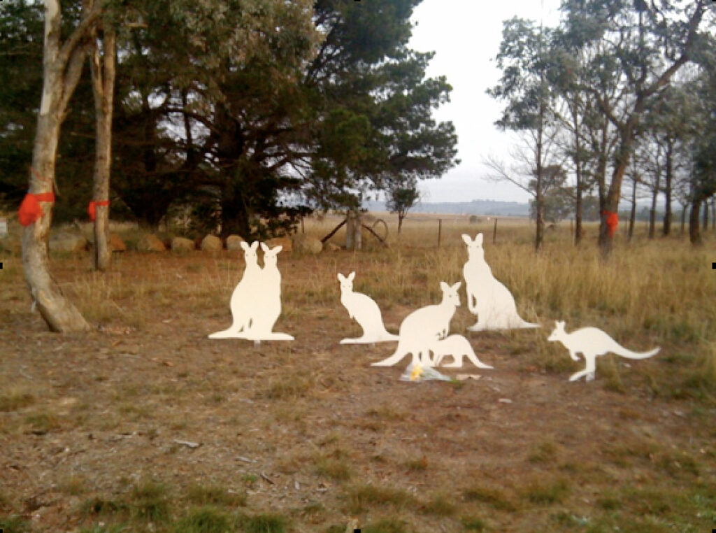 Memorial service held in Canberra for 512 Eastern Grey Kangaroos and their joeys who were killed at the Belconnen Naval Transmission Station