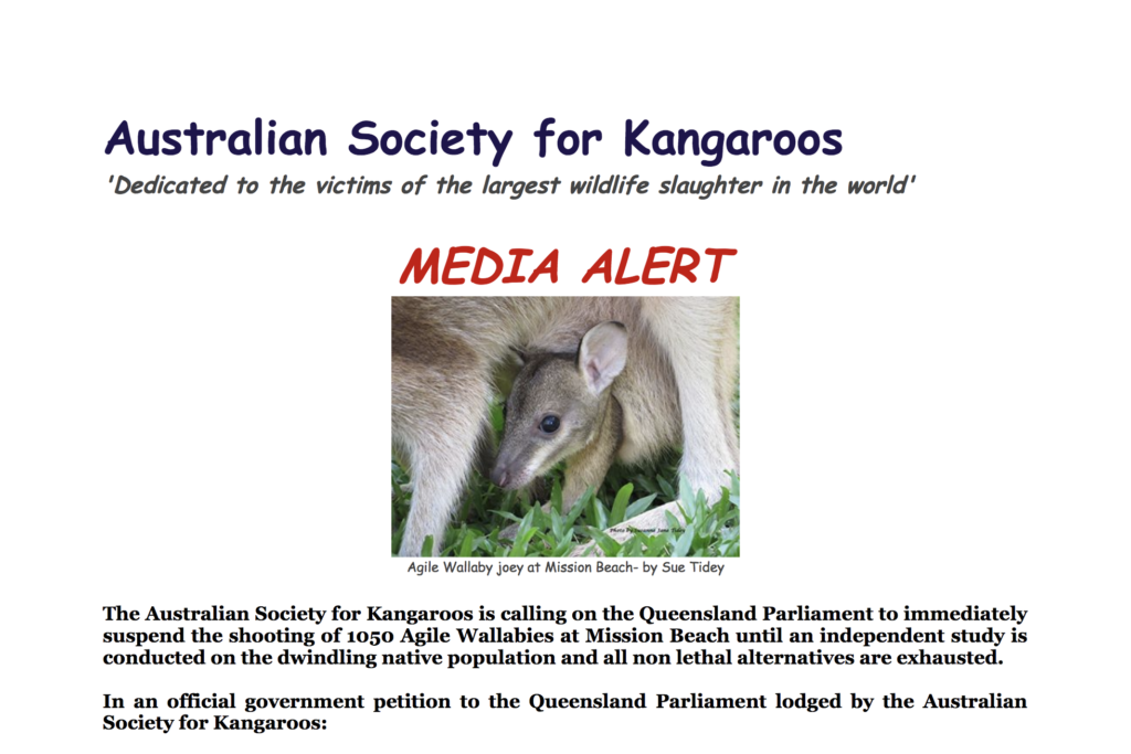 Suspend the shooting of 1050 Agile Wallabies at Mission Beach until an independent study is conducted