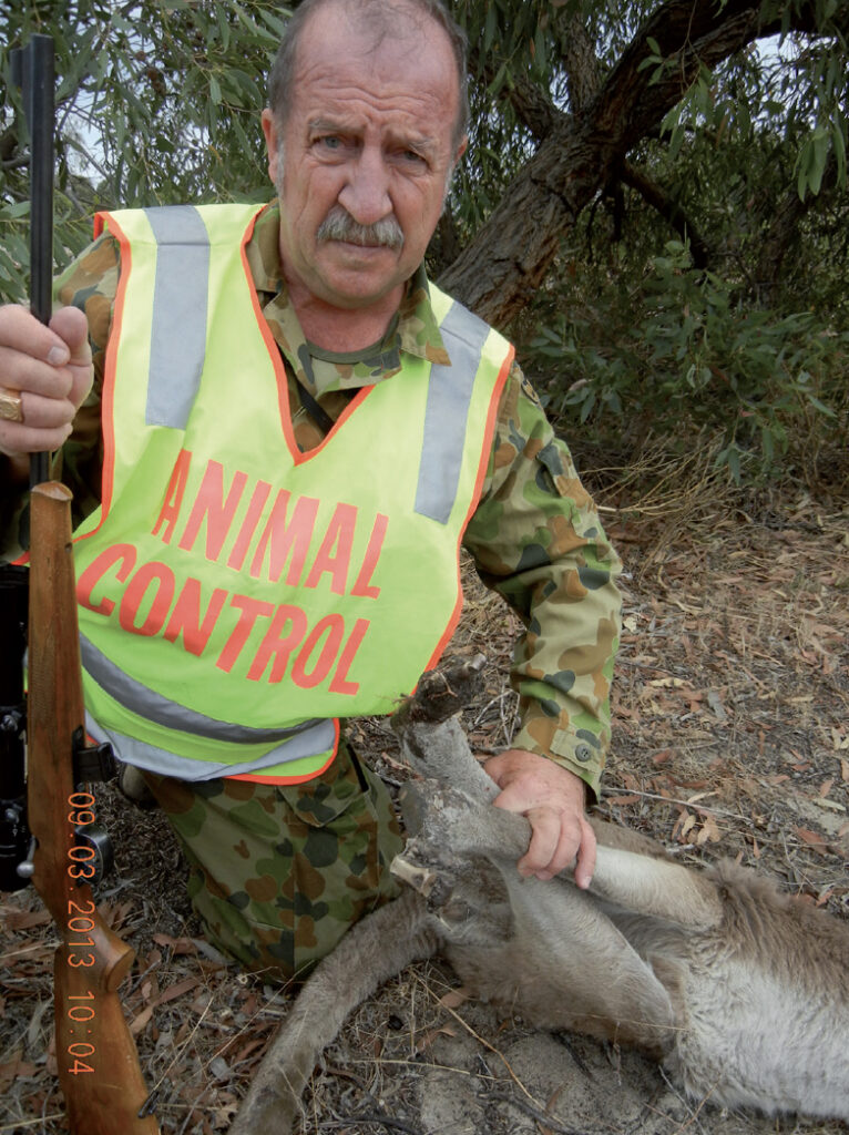 Calls for bushfire inquiry as Victorian wildlife left to die - Kangaroo with feet completely burnt off by fires