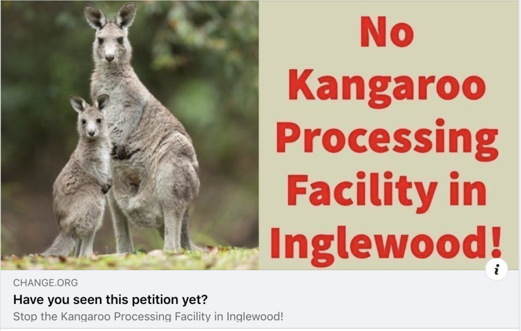 2015 Outrage over Plans for a Kangaroo Abattoir in Central Victoria, Australia. ASK urging for Loddon Shire council to block abattoir